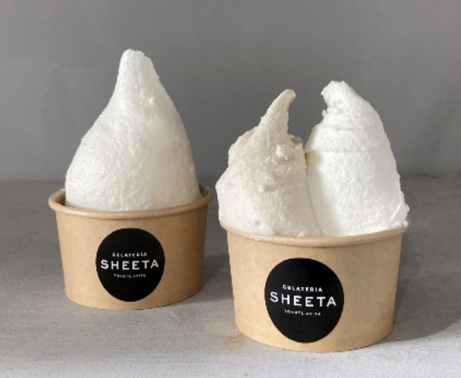 GELATERIA SHEETA